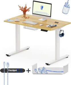 FLEXISPOT Escritorio Elevable